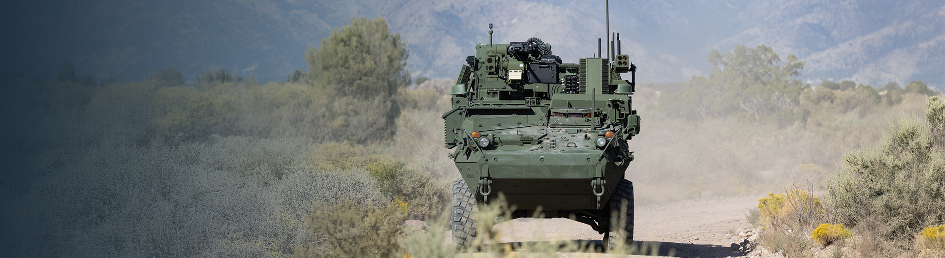 Artificial Intelligence Processor Aip